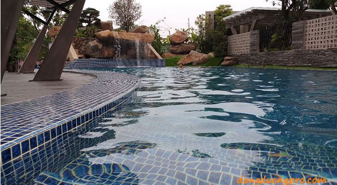 Thiết kế hồ bơi